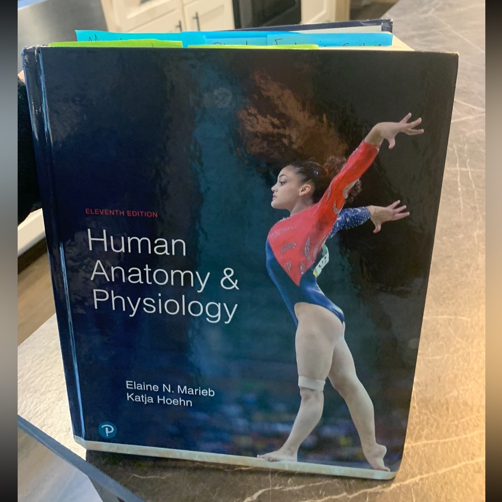 Human Anatomy & Physiology Textbook - Eleventh Edition